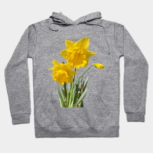 Daffodils Hoodie